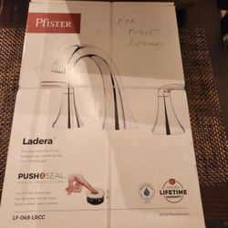 New Bathroom Pfister Faucet 