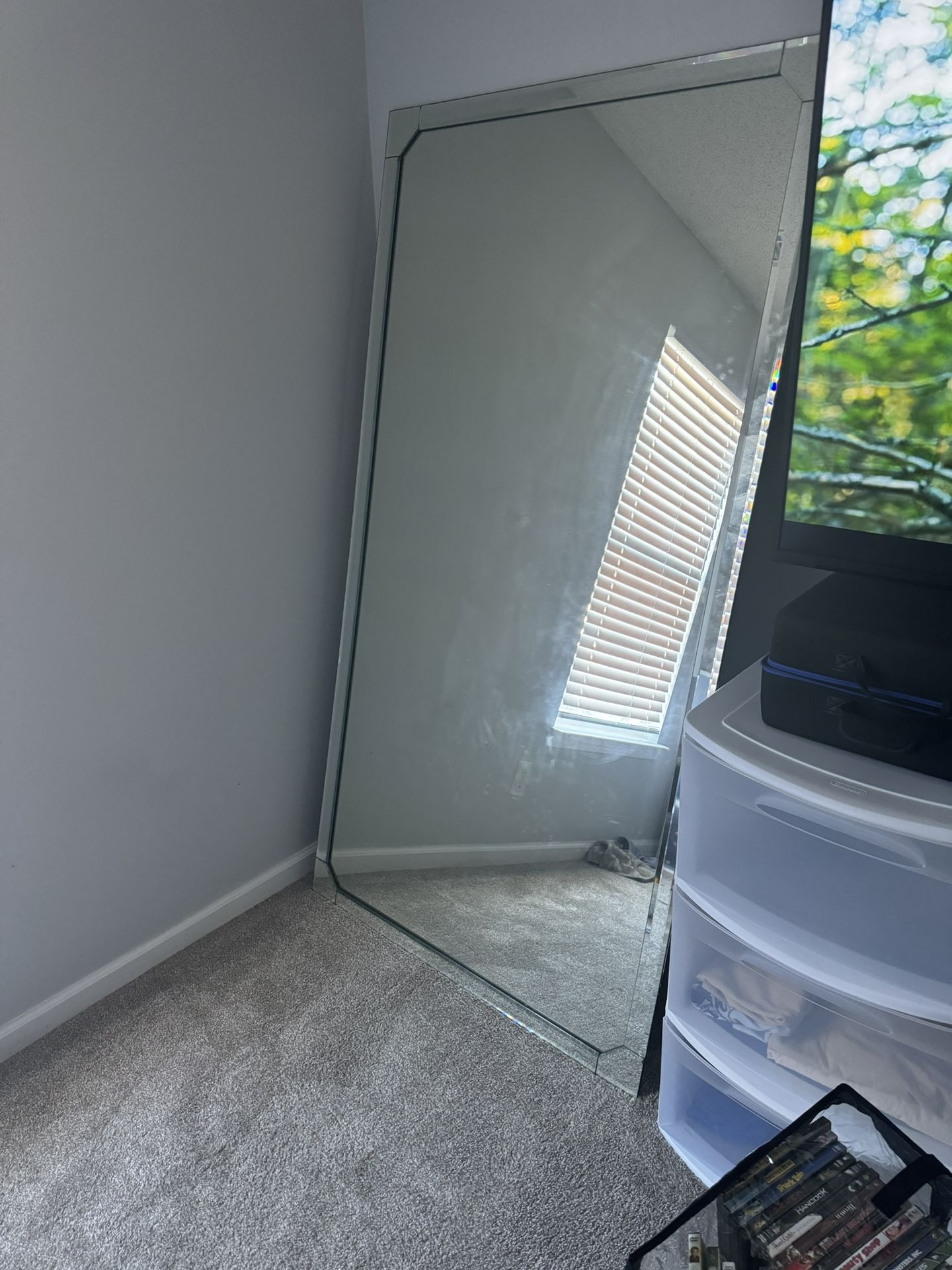Oversized Mirror / Floor Mirror
