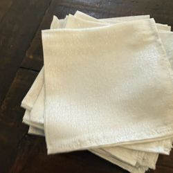 11- Sparkly Napkins & Large Table Cloth 