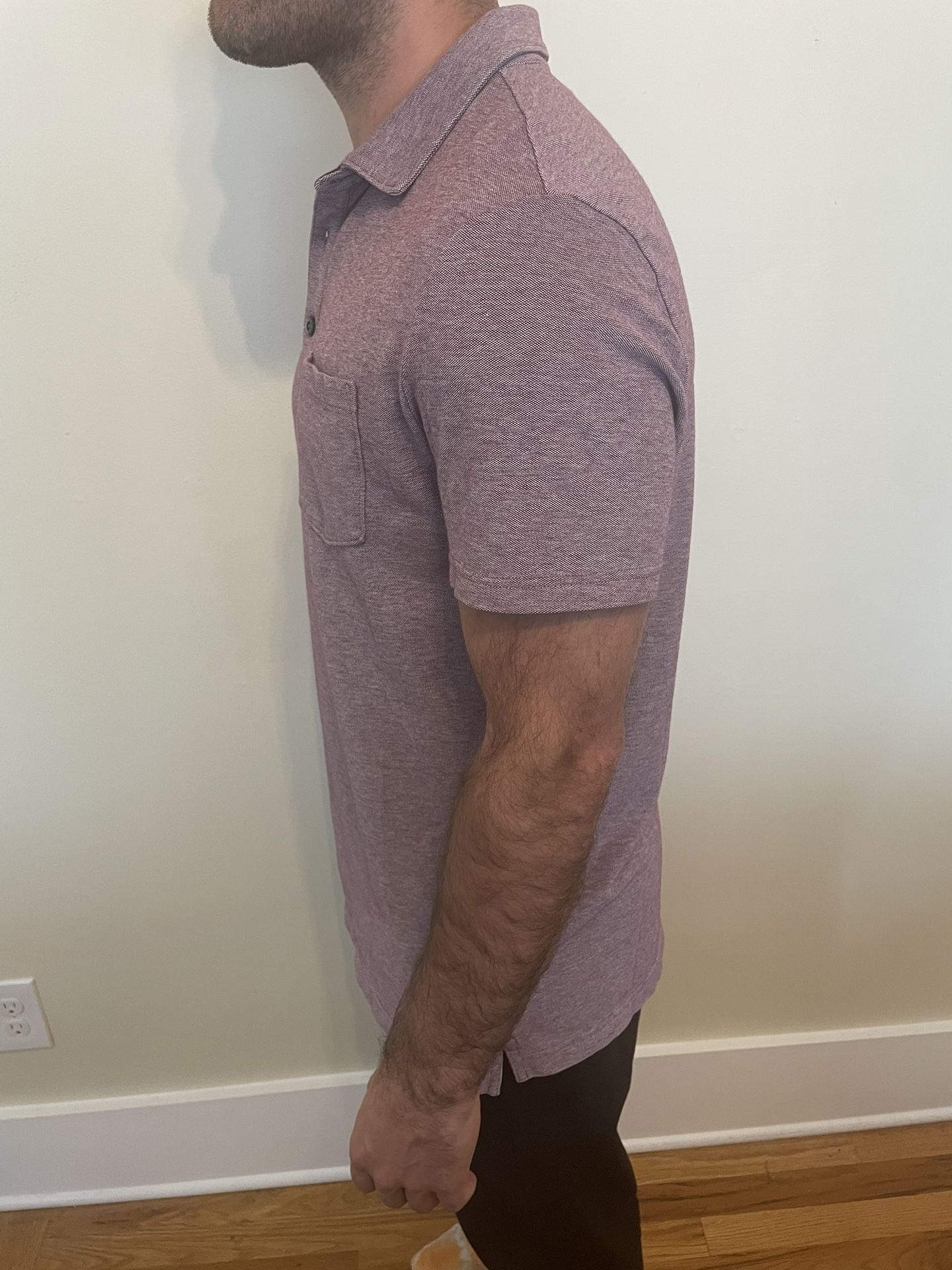 Banana Republic L Polo