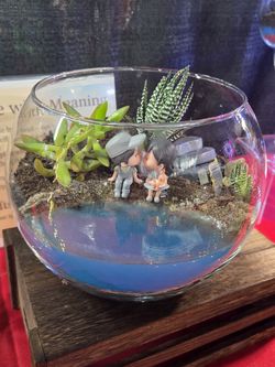 Embellished Succulents Planter with Live Succulents