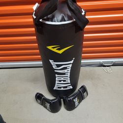 Everlast punching bag