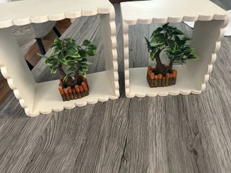 2 shelves