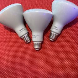 Satco LED flood Lights