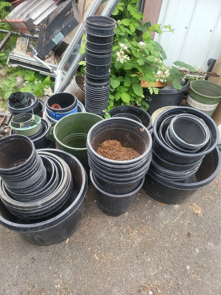 Pot Planter