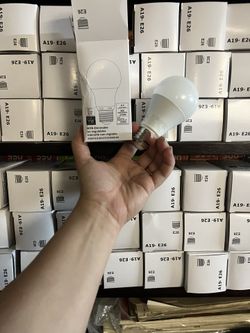 Light Bulb