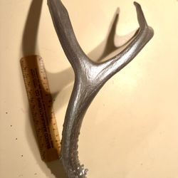 Silver Antler
