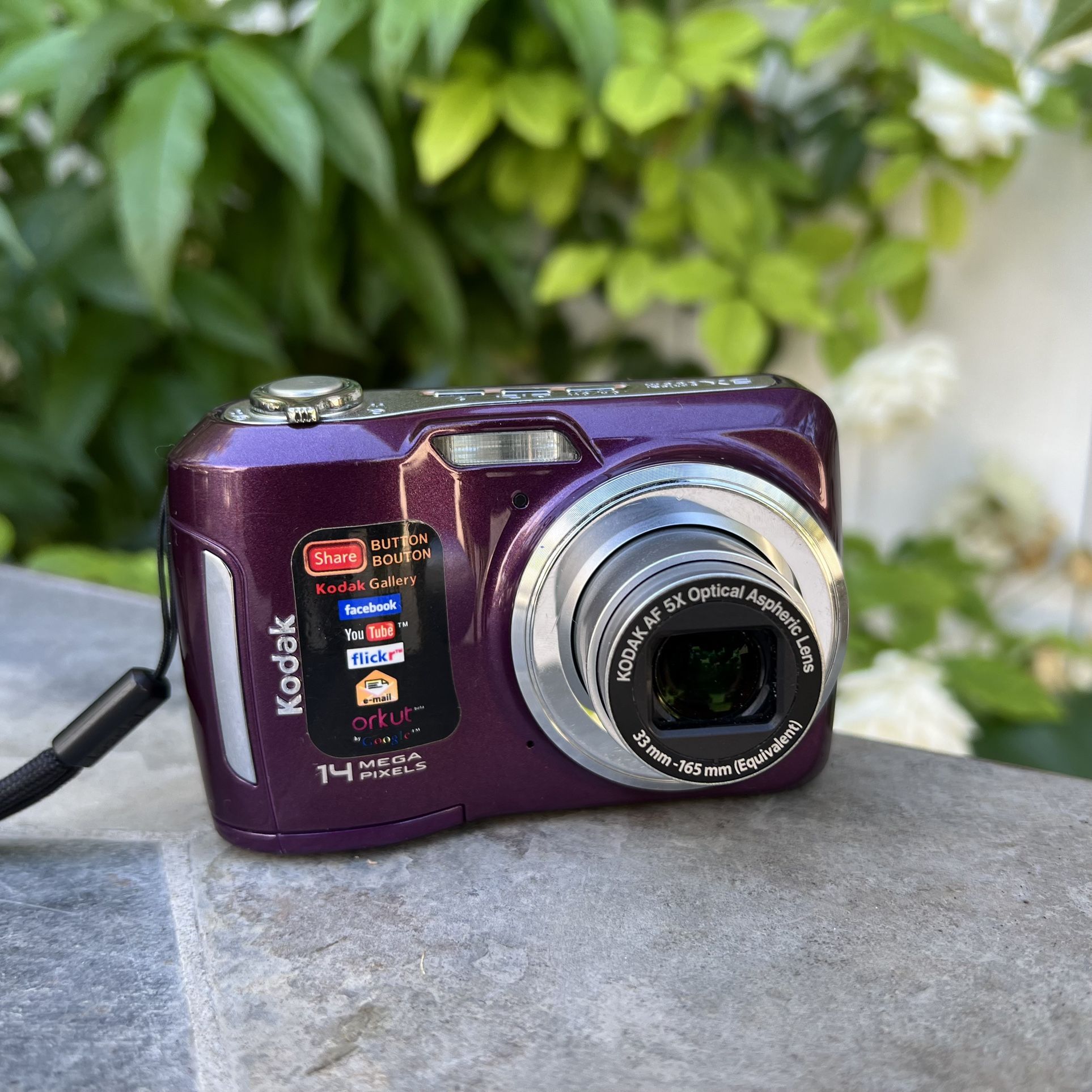 Kodak EasyShare C195 Digital Camera