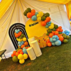 Pokémon Birthday Backdrops And Balloons 