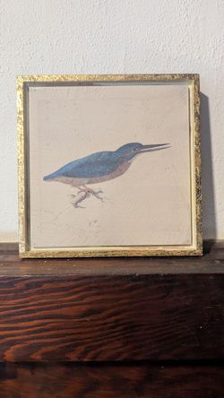 Vintage Style box frame with Bird
