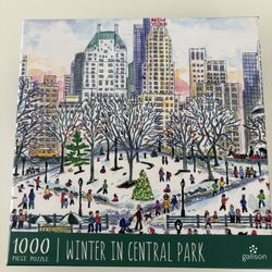 New York Winter Puzzle 1000 pieces  