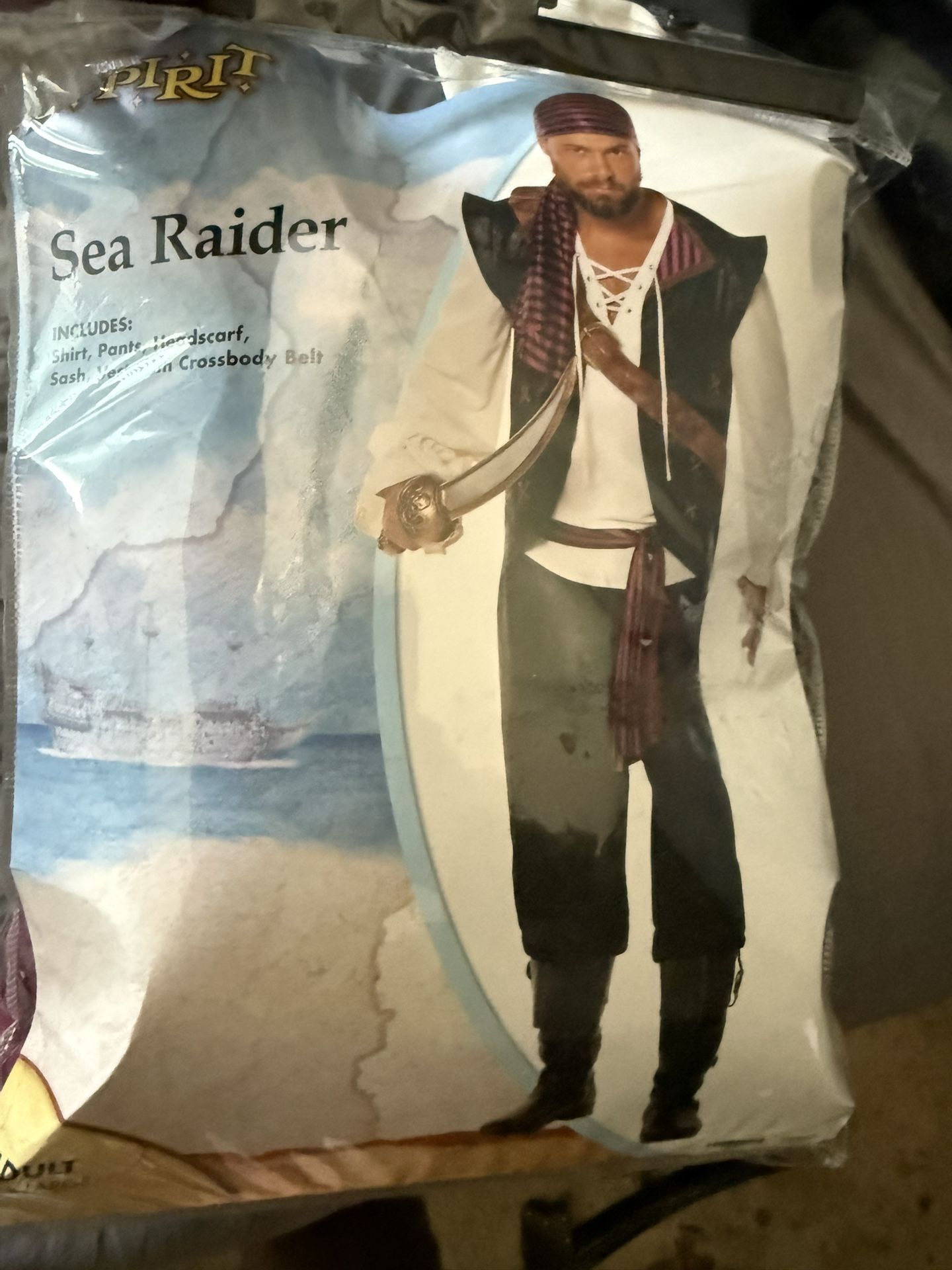 Pirate Costume