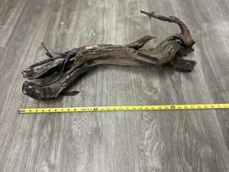 Driftwood