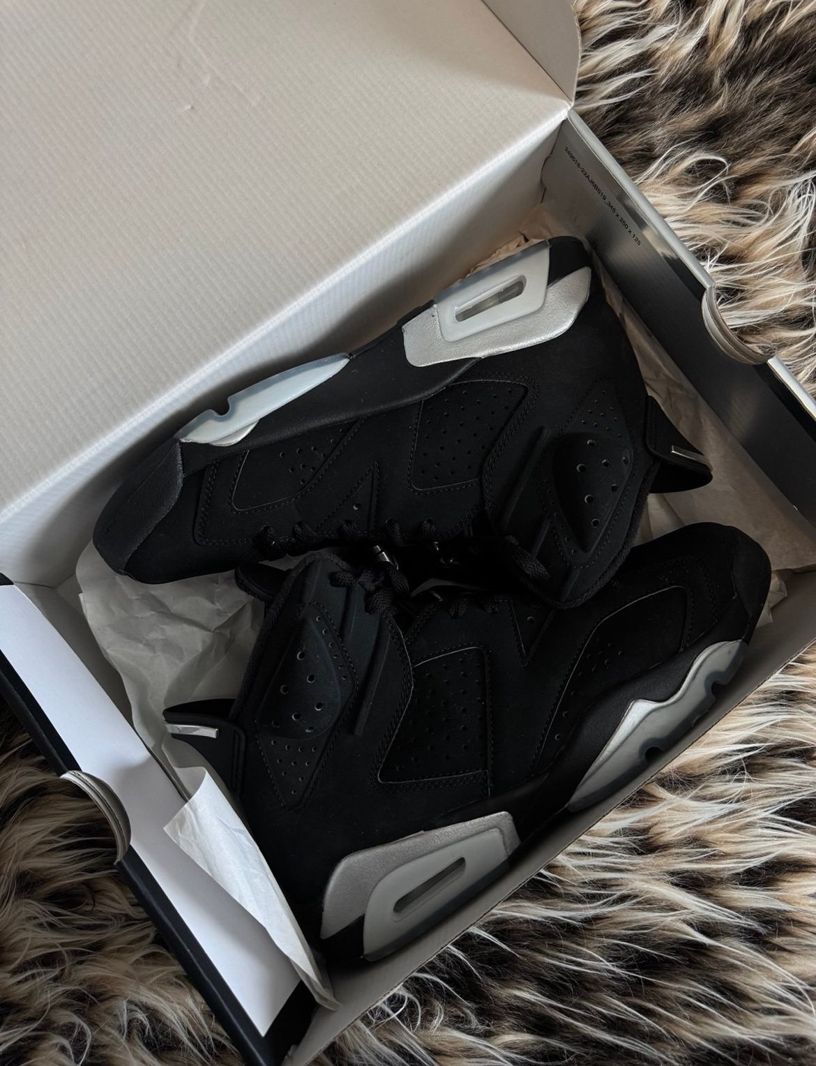Jordan 6 Retro Chrome