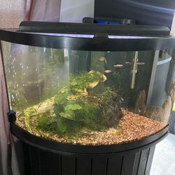 65-Gallon Aquarium for Sale