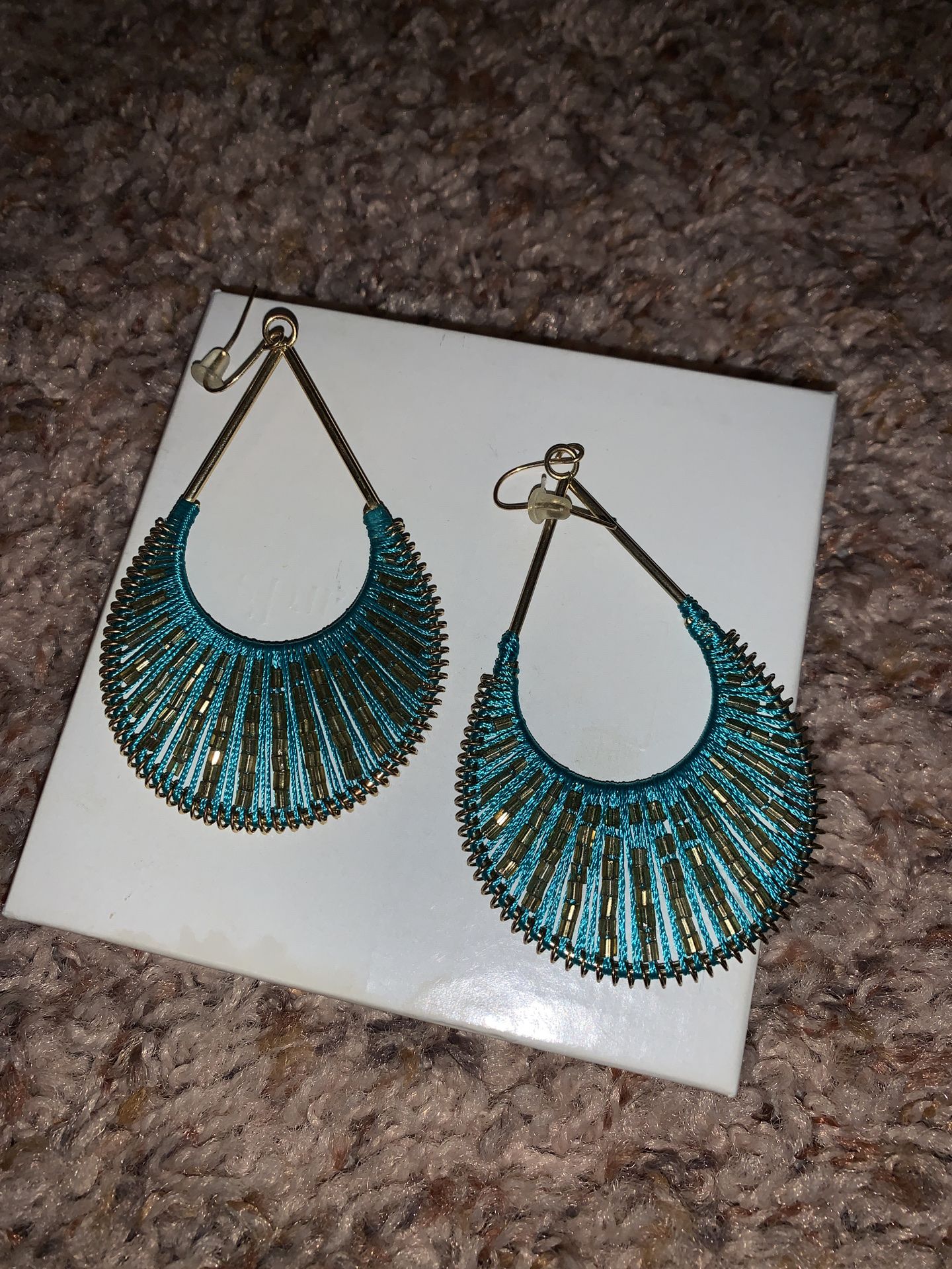 Earrings
