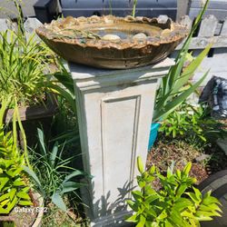 bird bath