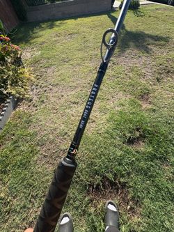 Daiwa Proteus