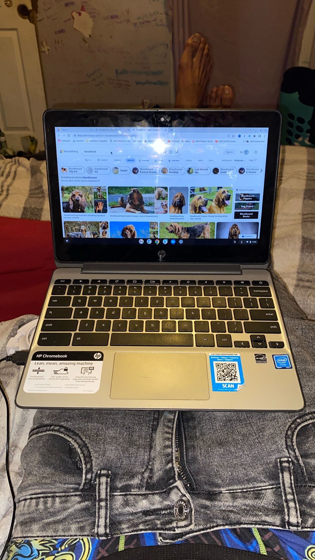 hp Chromebook