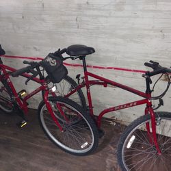 2 Fuji folding bikes