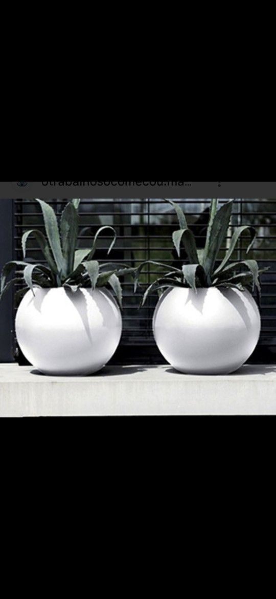 Cement Planters