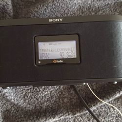 Sony  XDR-S10HD