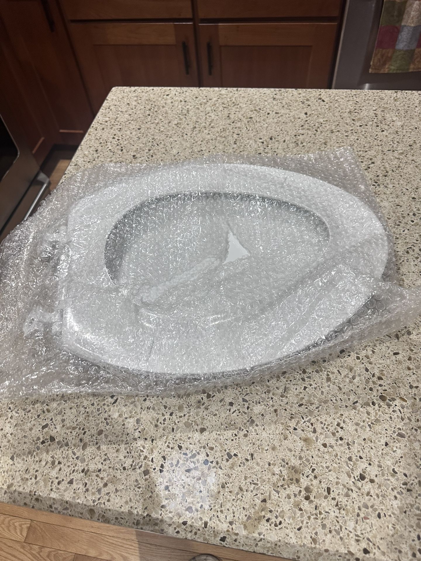 Toilet Seat 