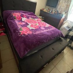 Bed Frame 