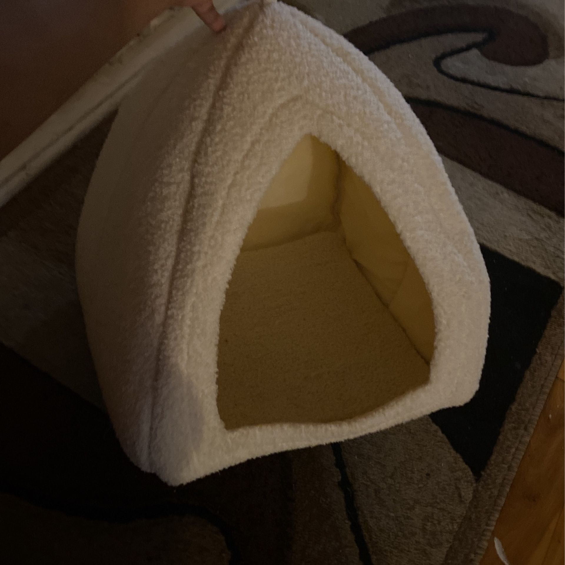 Cat bed 