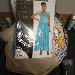 Really Nice If You Love Disney