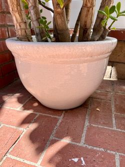 Glazed Clay Planter Pot