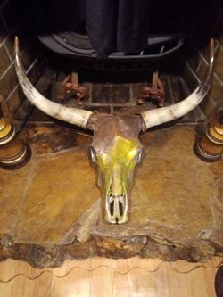 Large authentic skulls and horns