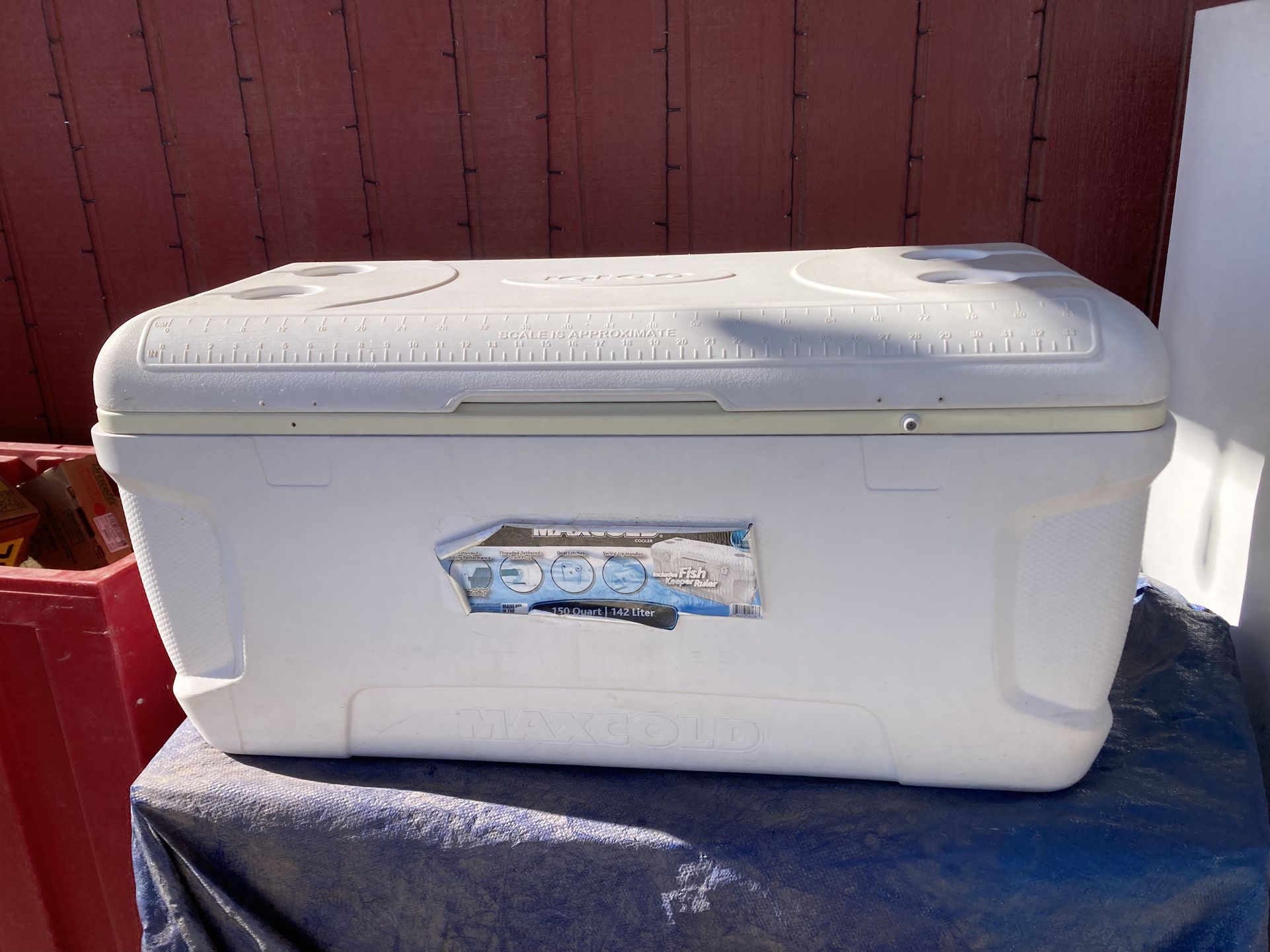 Coleman & Igloo Coolers