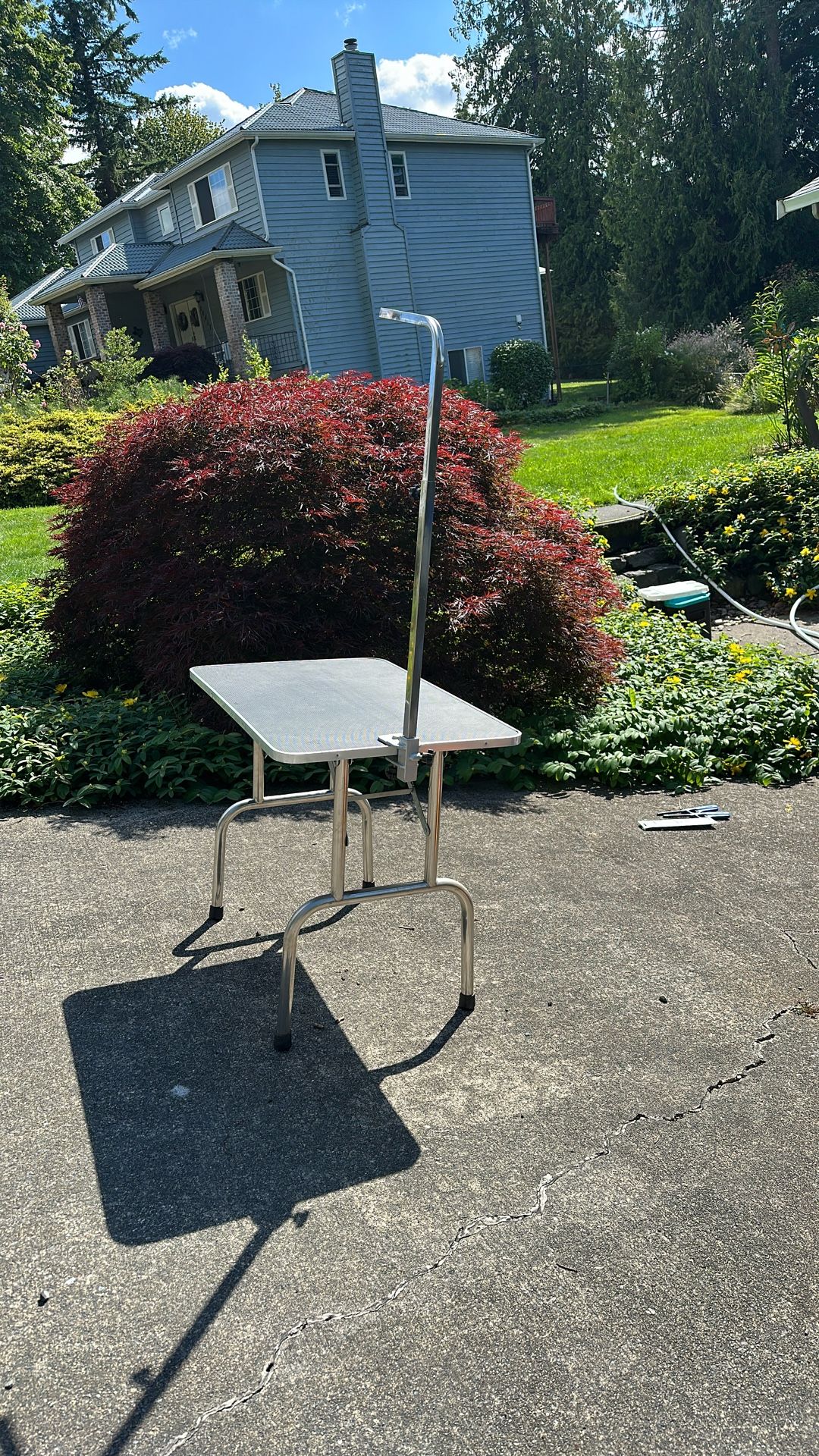 Animal Grooming Table