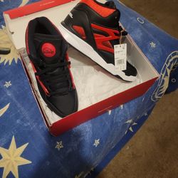 Reebok pumps brand new.