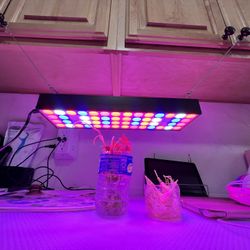 LED PLANT GROW LIGHT (12" x 4") with 2 hook hangers