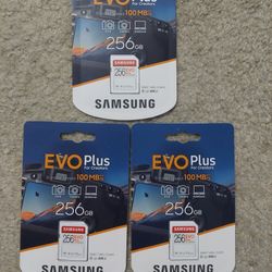 EVO Plus SDXC Full-size SD Card 256GB