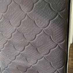 Free Twin Size Mattress 