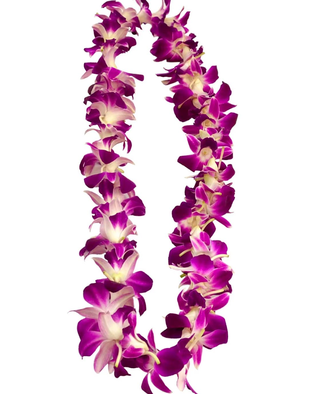 Single Graduation Lei
