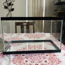 10 Gallon Fish Tank