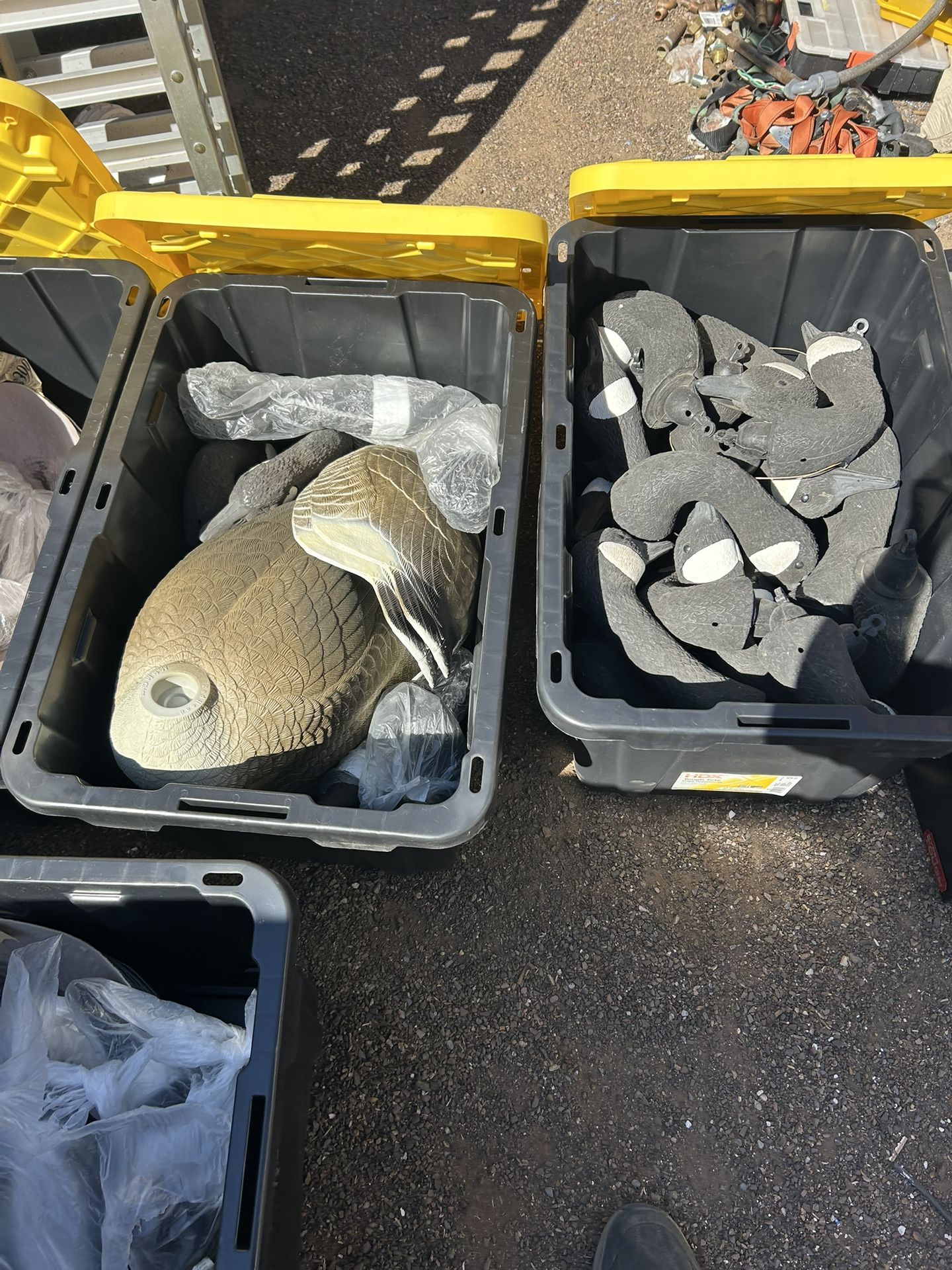 Duck And Goose Decoys
