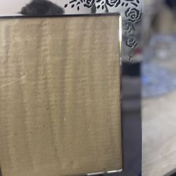 Stunning Chrome Frame with Stenciled Roses