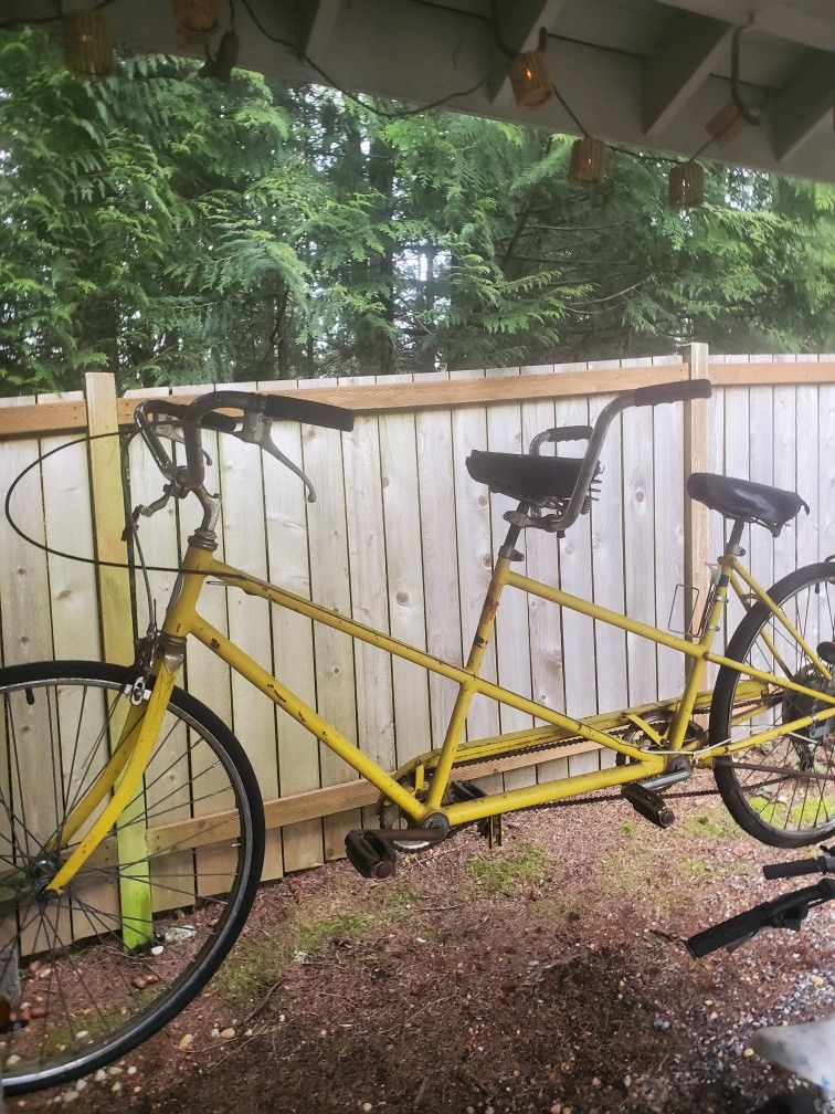 Schwinn Tandem Bike