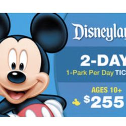 1 Disneyland Ticket 2 Days 2 Parks