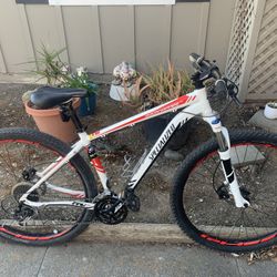 Specialized 29” Mountain Bike