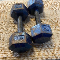 20 pound dumbbells pair blue