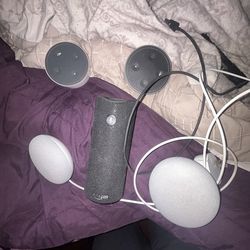 Echo dot / google