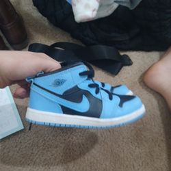 Blue Air Jordan 1s