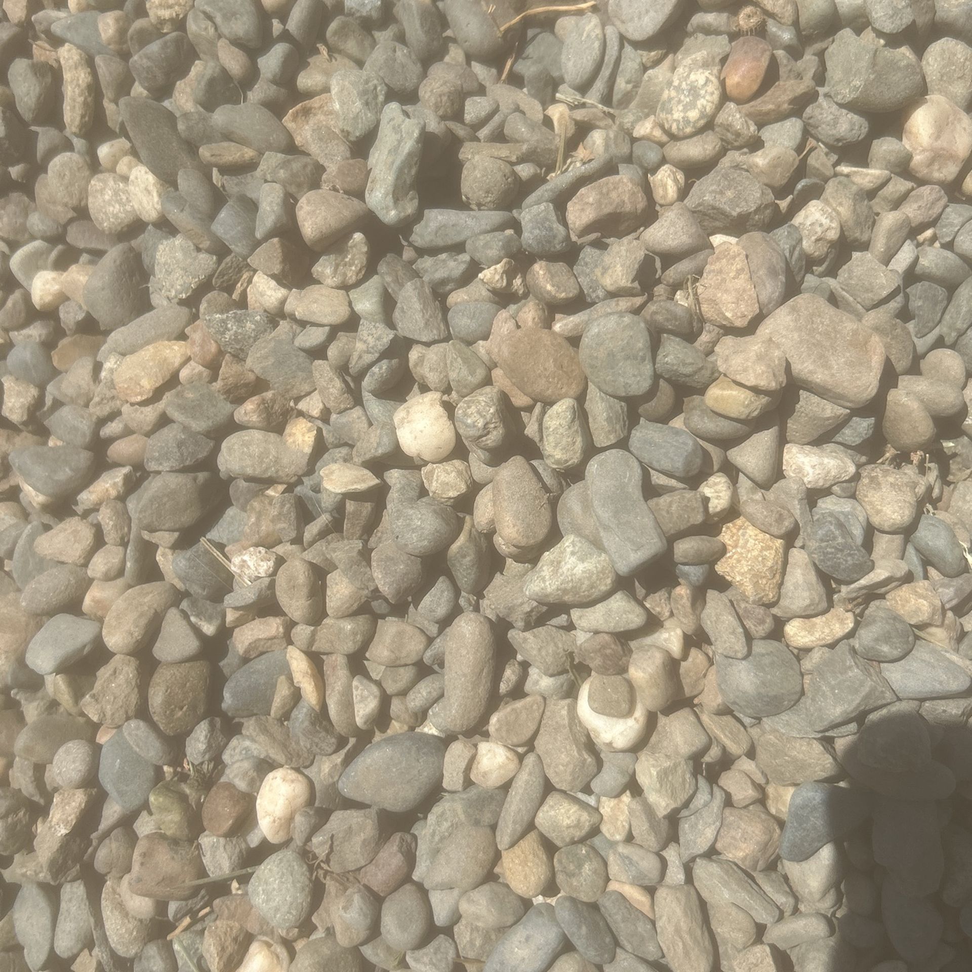 Free Rocks