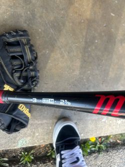 Baseball bat and mint